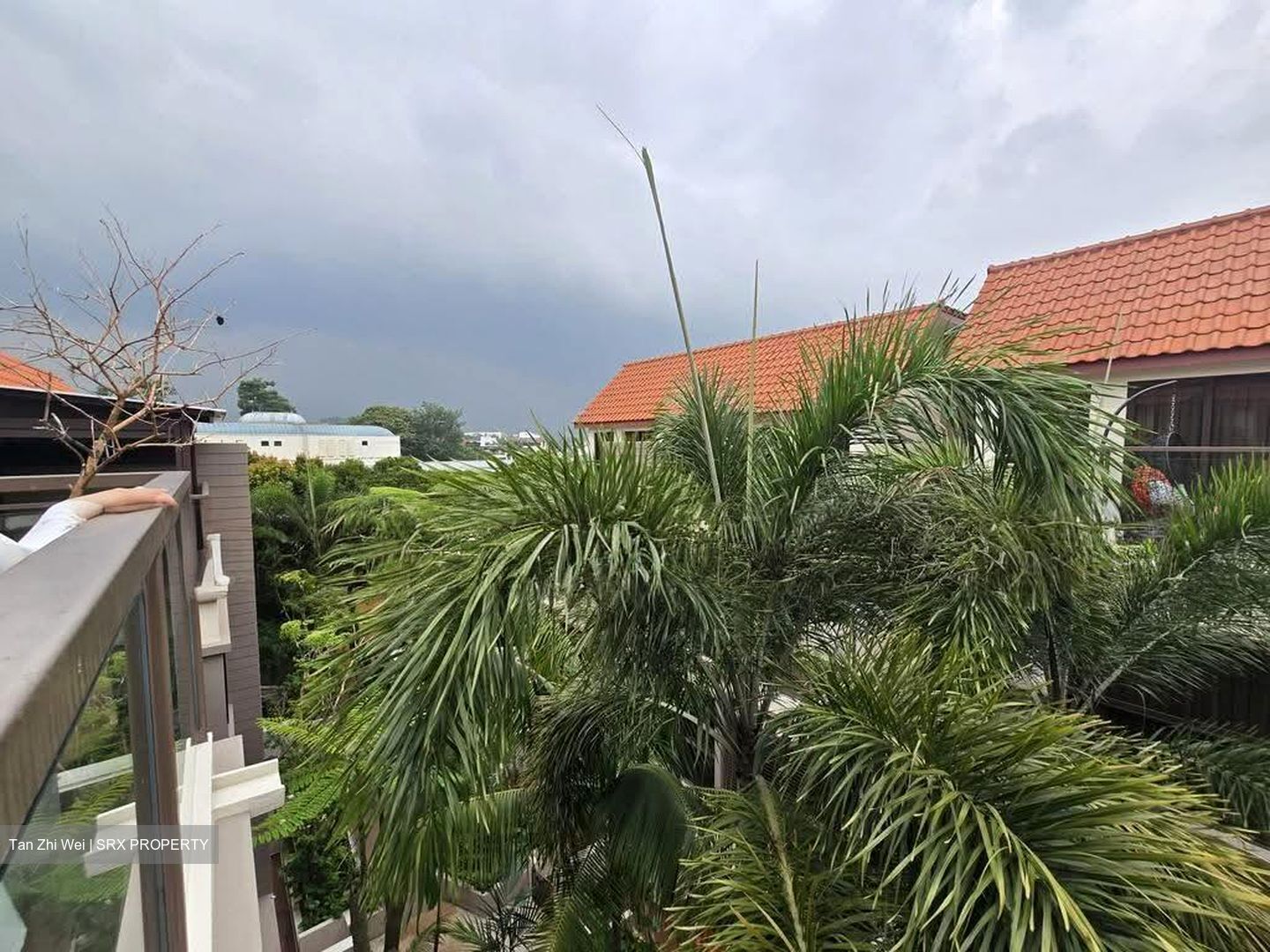 Holland Link (D10), Terrace #618193271